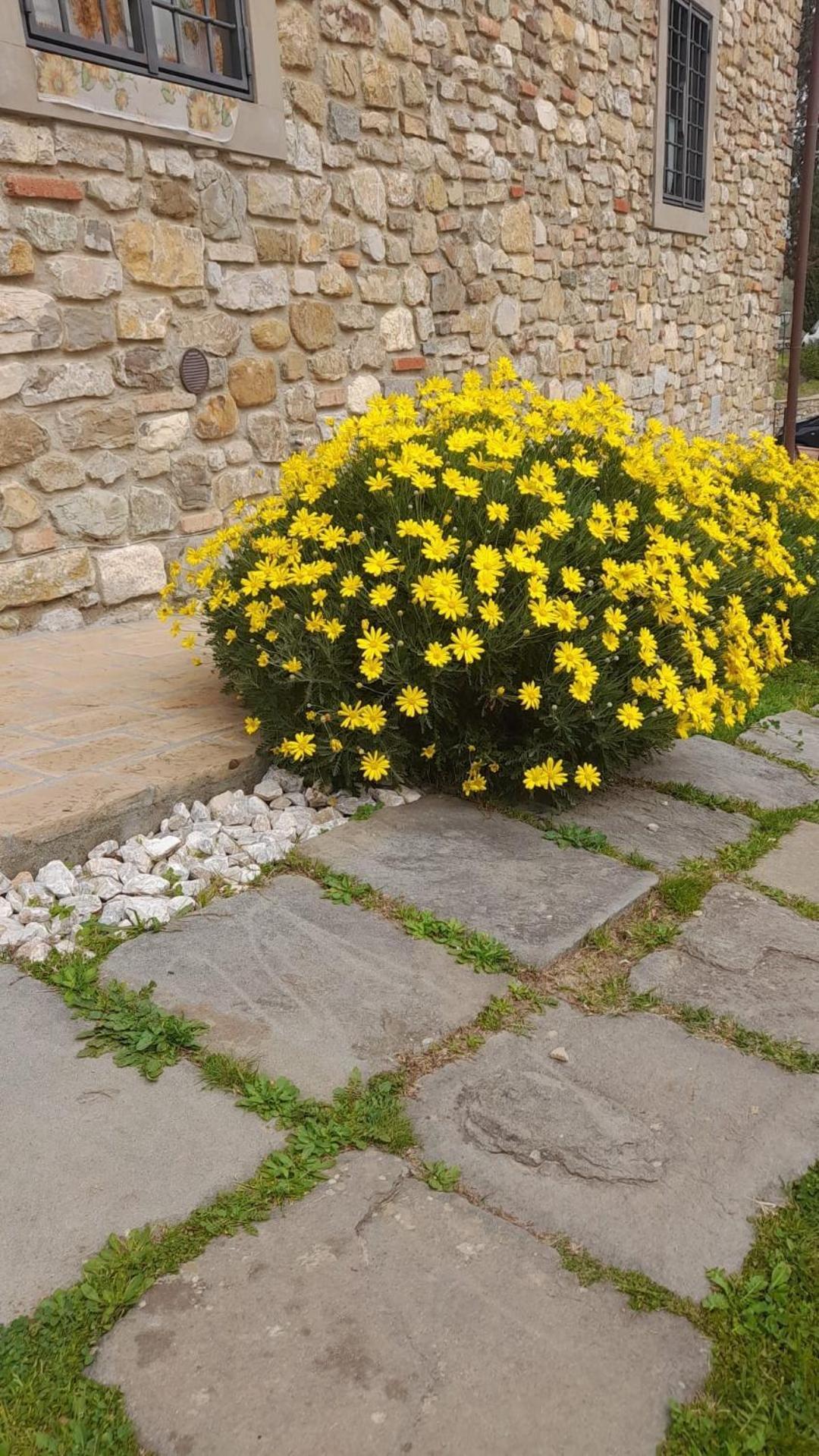 Agriturismo Circugnano Grassina Extérieur photo
