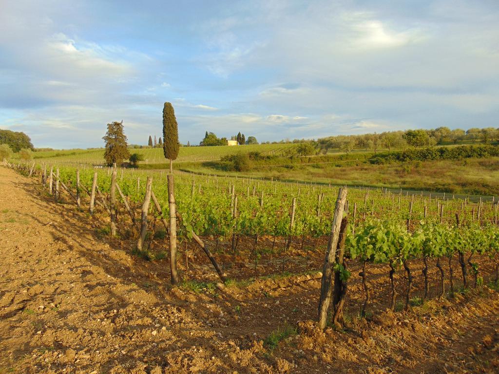 Agriturismo Circugnano Grassina Extérieur photo