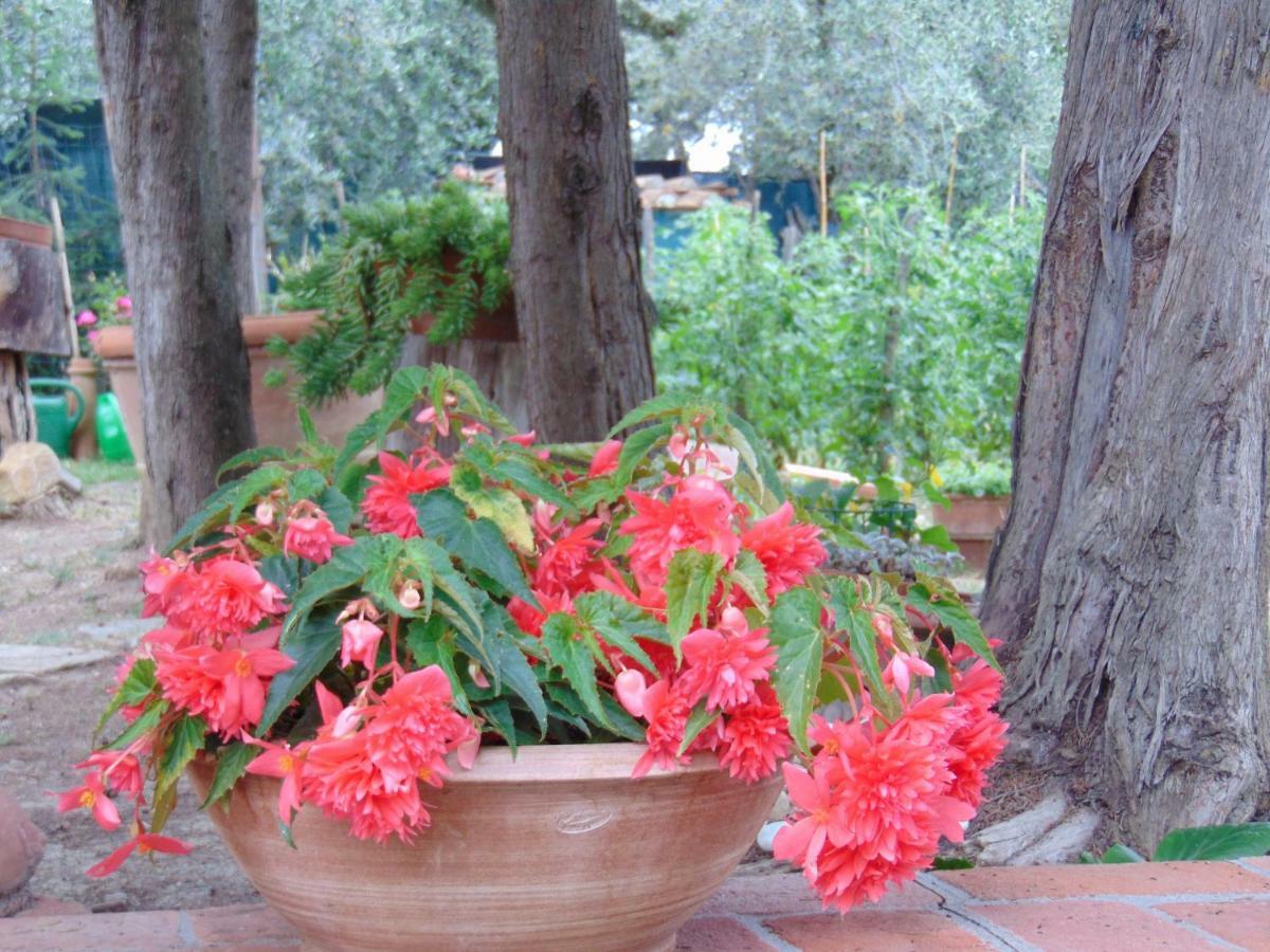 Agriturismo Circugnano Grassina Extérieur photo